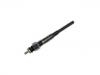 Glow Plug:11065-T8200