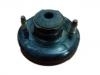 Strut Mount:51675-S10-004