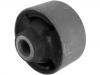 Suspension Bushing:51391-S5A-801