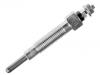 Glow Plug:11065-G2400